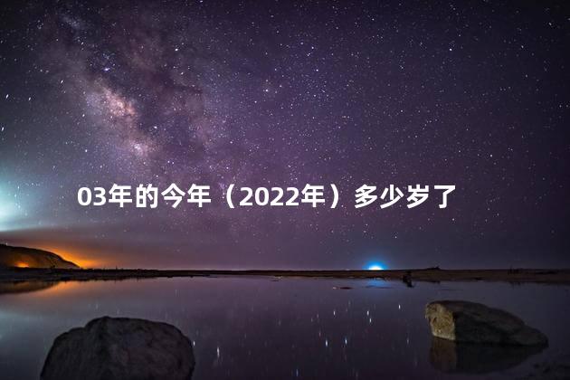 03年的今年（2022年）多少岁了