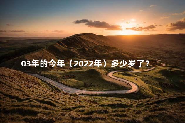 03年的今年（2022年）多少岁了？