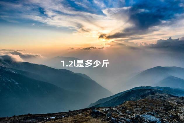 1.2l是多少斤 1.2l是多少斤