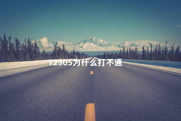 12305为什么打不通