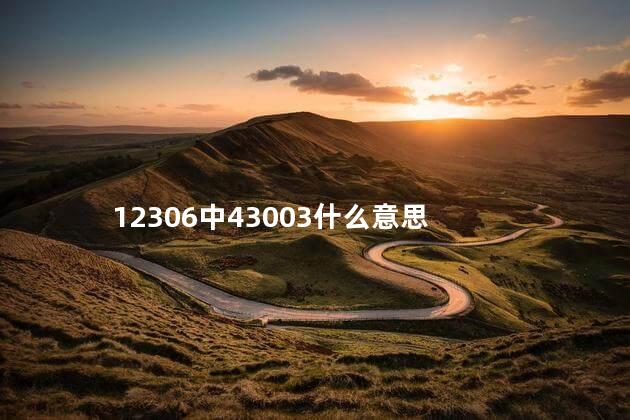 12306中43003什么意思