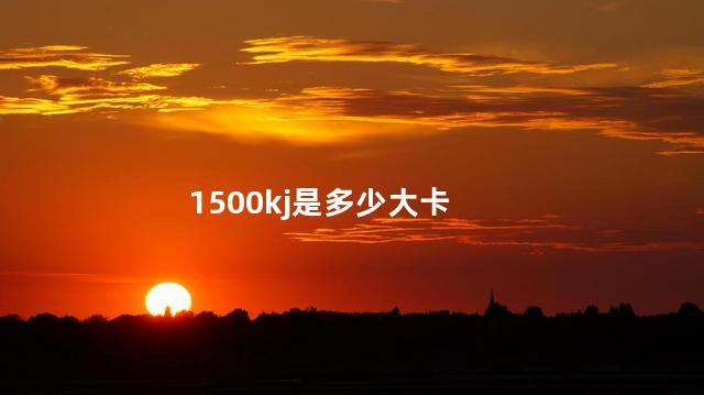 1500kj是多少大卡