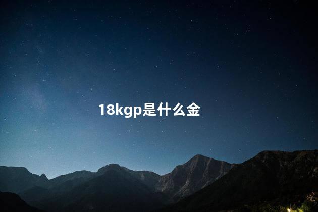 18kgp是什么金