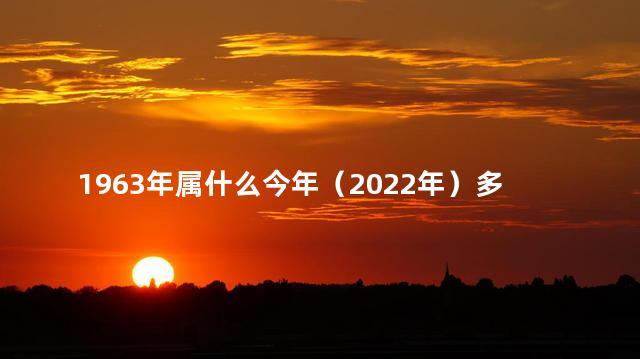 1963年属什么今年（2022年）多大