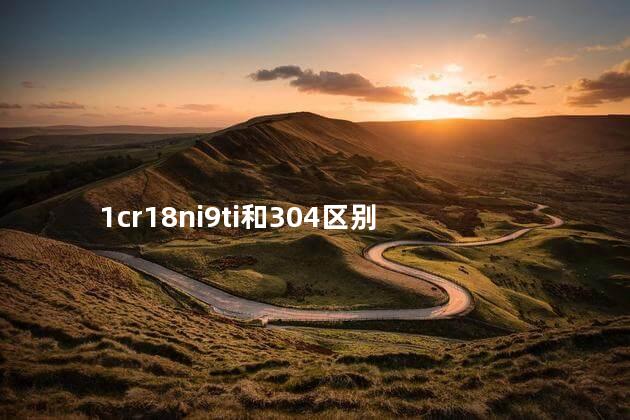 1cr18ni9ti和304区别