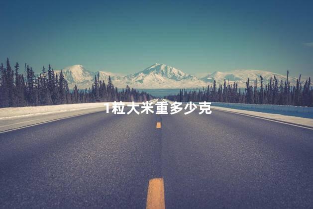 1粒大米重多少克