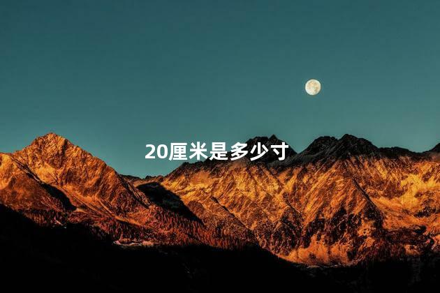 20厘米是多少寸 20厘米是多少寸