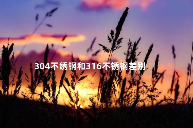 304不绣钢和316不锈钢差别