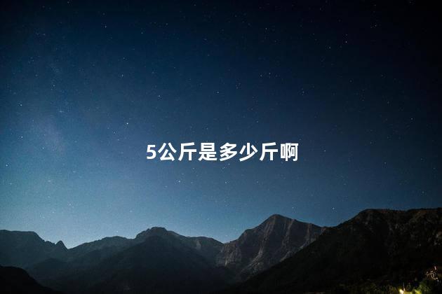 5公斤是多少斤啊