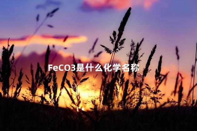 FeCO3是什么化学名称