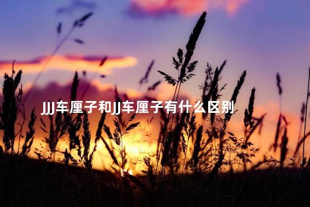 JJJ车厘子和JJ车厘子有什么区别 JJJ车厘子和JJ车厘子有什么区别