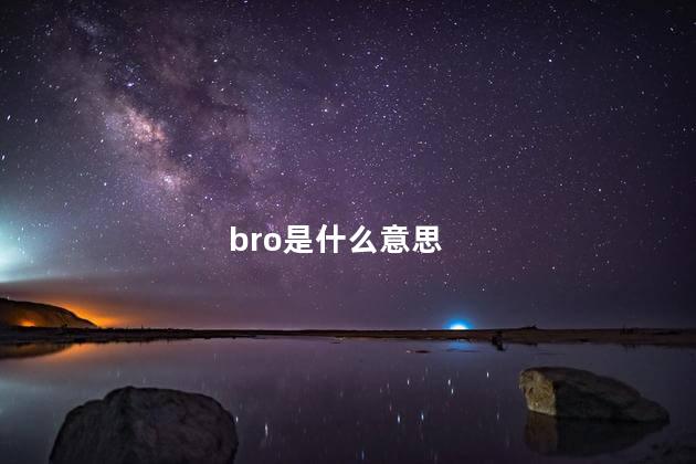bro是什么意思