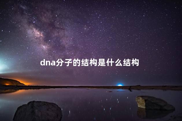 dna分子的结构是什么结构 dna分子的结构是什么结构