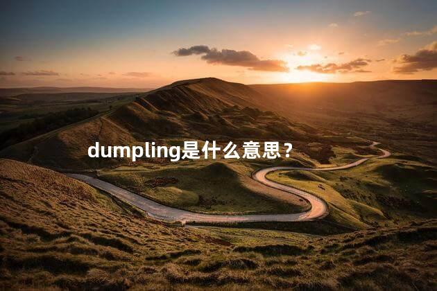dumpling是什么意思？