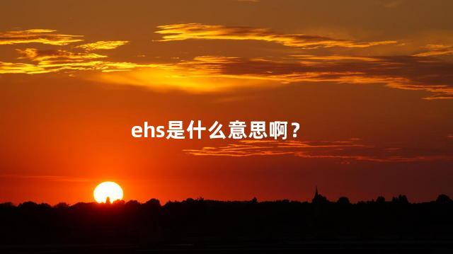 ehs是什么意思啊？