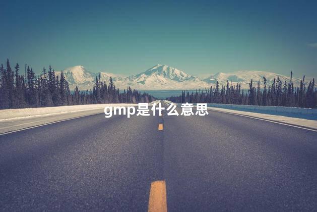 gmp是什么意思 gmp是什么意思