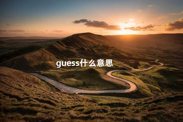 guess什么意思 guess什么意思