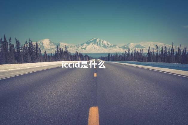 iccid是什么