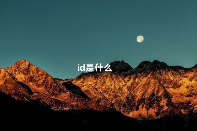 id是什么