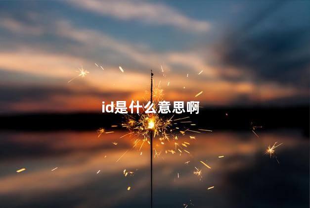 id是什么意思啊
