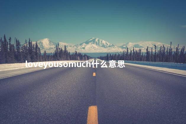 loveyousomuch什么意思