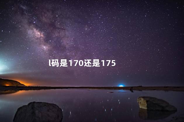 l码是170还是175 l码是170还是175