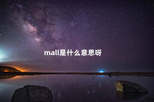 mall是什么意思呀 mall是什么意思呀