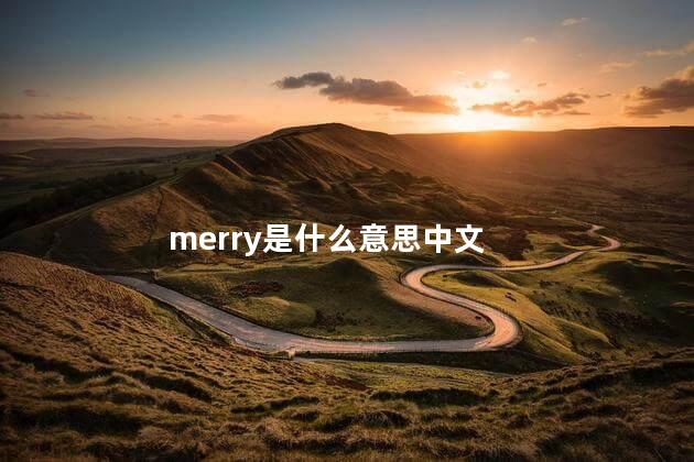 merry是什么意思中文