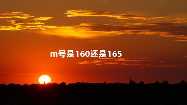 m号是160还是165 m号是160还是165