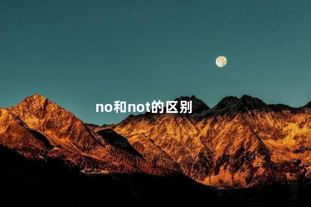no和not的区别