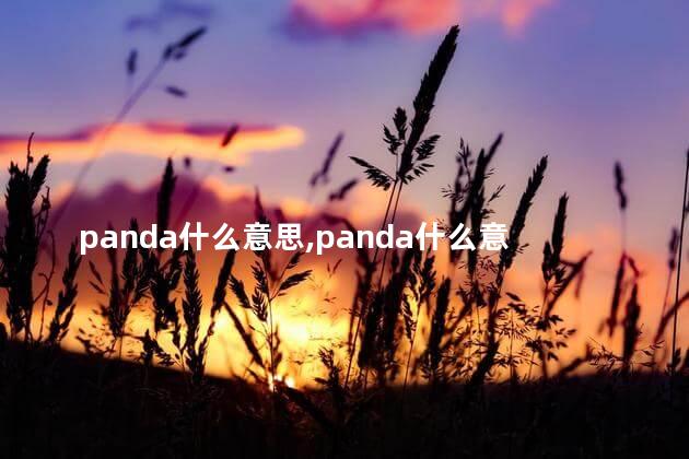 panda什么意思中文