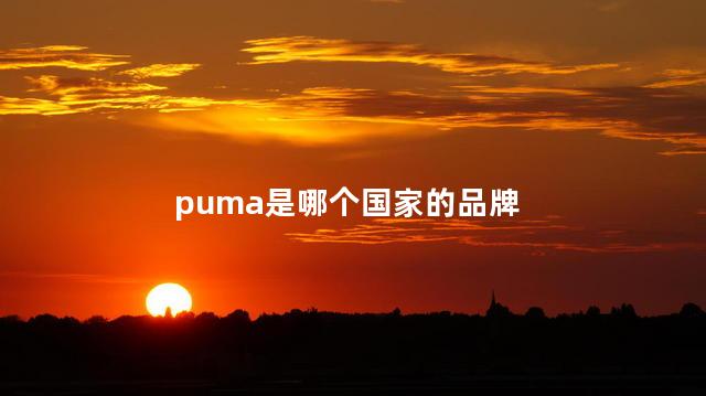 puma是哪个国家的品牌