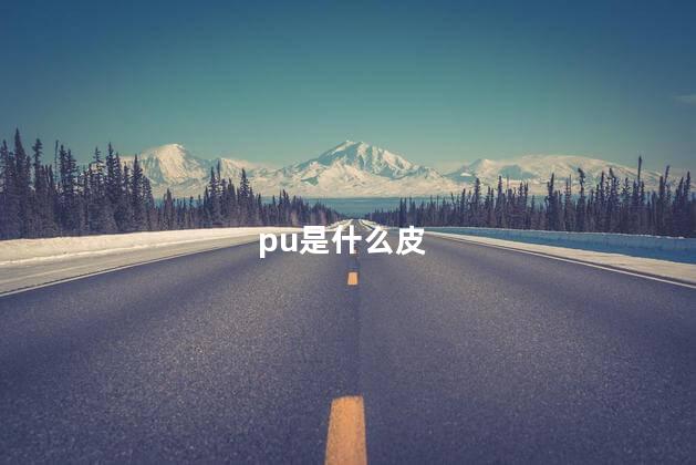 pu是什么皮