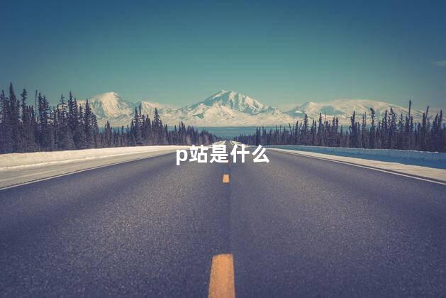 p站是什么 p站是什么