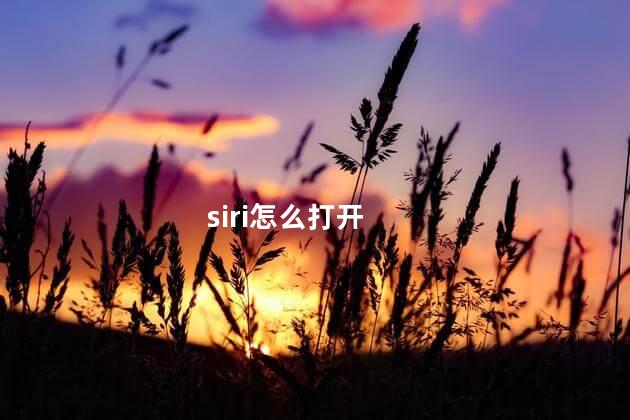 siri怎么打开 siri怎么打开