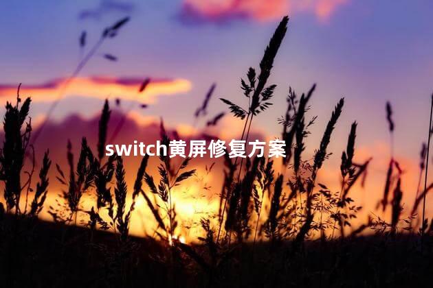 switch黄屏修复方案