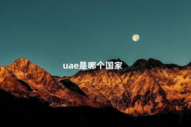 uae是哪个国家
