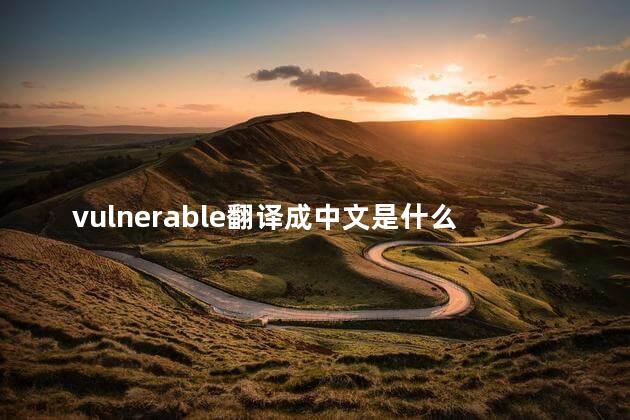 vulnerable翻译成中文是什么 vulnerable翻译成中文是什么