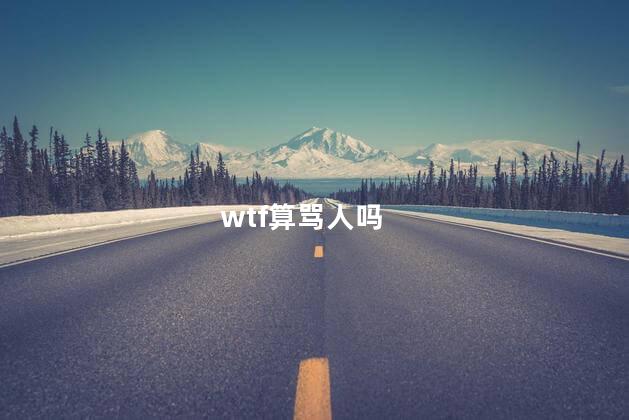wtf算骂人吗 wtf算骂人吗