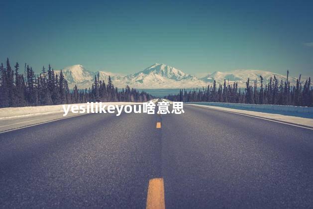 yesilikeyou啥意思 yesilikeyou啥意思