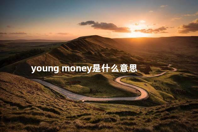young money是什么意思 young money是什么意思