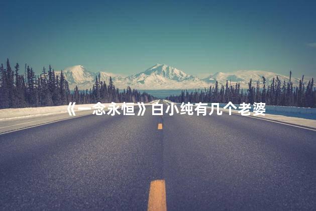 《一念永恒》白小纯有几个老婆 《一念永恒》白小纯有几个老婆