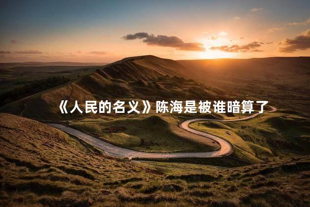 《人民的名义》陈海是被谁暗算了 《人民的名义》陈海是被谁暗算了