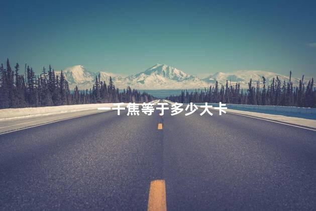 一千焦等于多少大卡 一千焦等于多少大卡