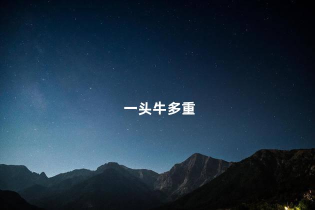 一头牛多重