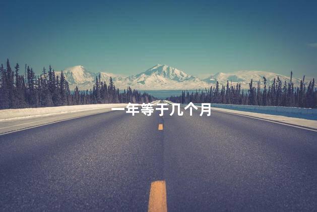 一年等于几个月