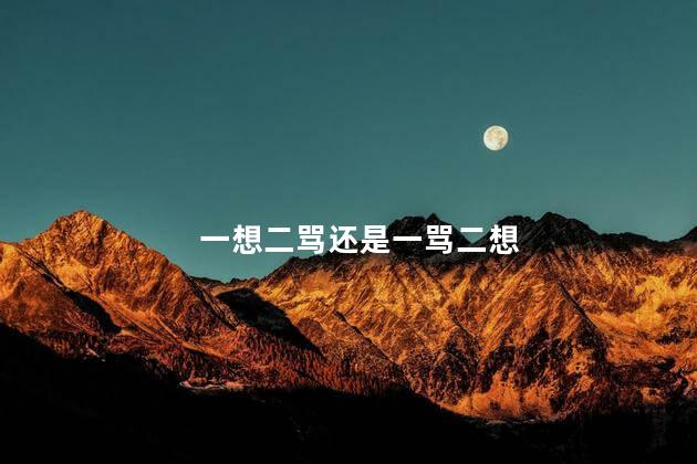 一想二骂还是一骂二想 一想二骂还是一骂二想