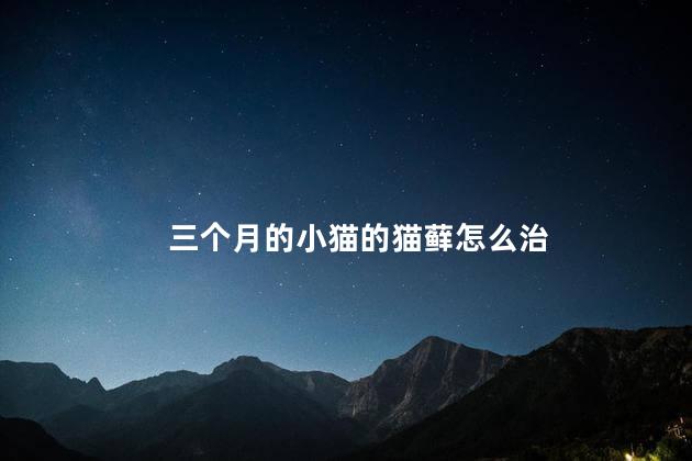 三个月的小猫的猫藓怎么治