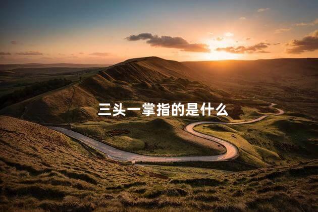三头一掌指的是什么