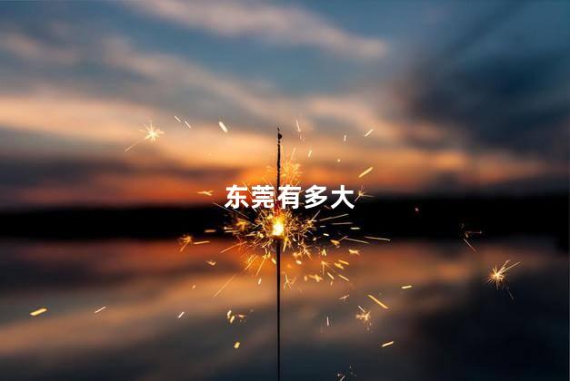 东莞有多大